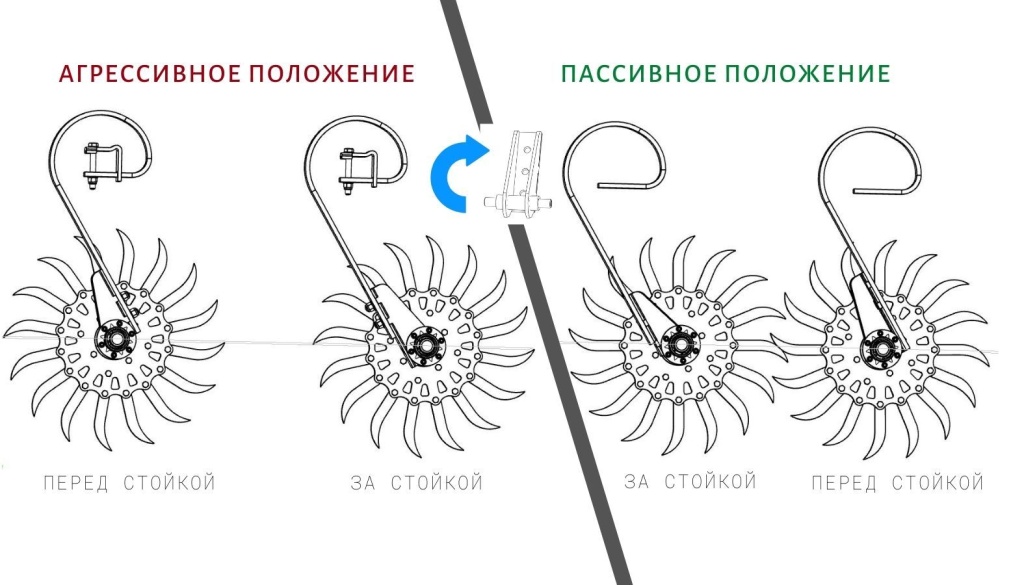 _ (2).jpg _ (2).jpg