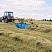 Грабли роторные ГР-700П