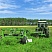 Kосилка дисковая KDC 430