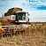 Жатка для подсолнечника Orange Seed SFH 7800