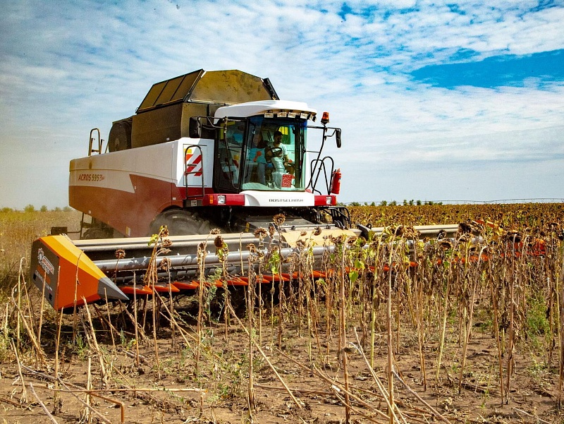 Жатка для подсолнечника Orange Seed SFH 7800