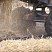Полугусеничный ход к комбайну «New Holland»