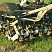 Сеялка зерновая пневматическая SLY BOSS NO-TILL 30