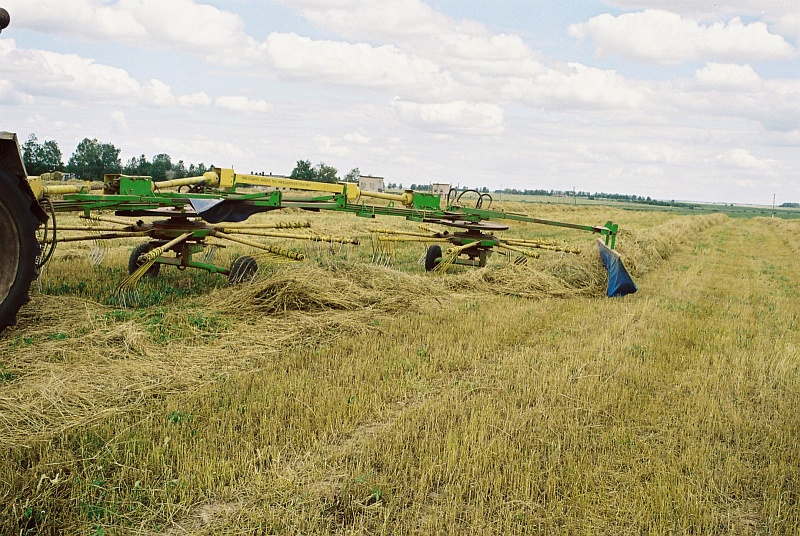 Грабли роторные ГР-700П