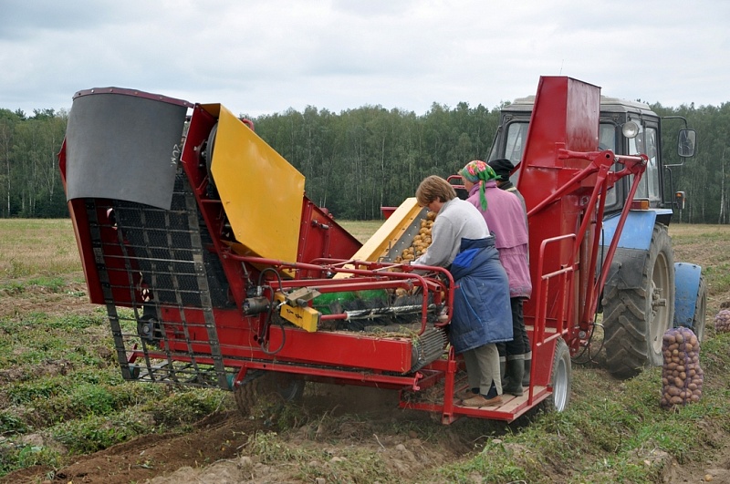 Комбайн картофелеуборочный ККУ-1