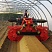 Грядообразователь B12