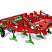 APN 26