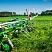 Ворошилка карусельная P4 - 531 C