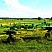 Грабли-ворошилки роторные ГВР-630